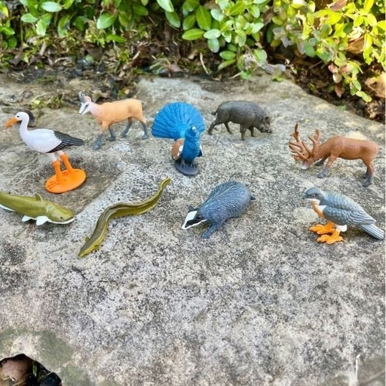 Safari Ltd, Toob, zestaw figurek, zwierzęta europejskie