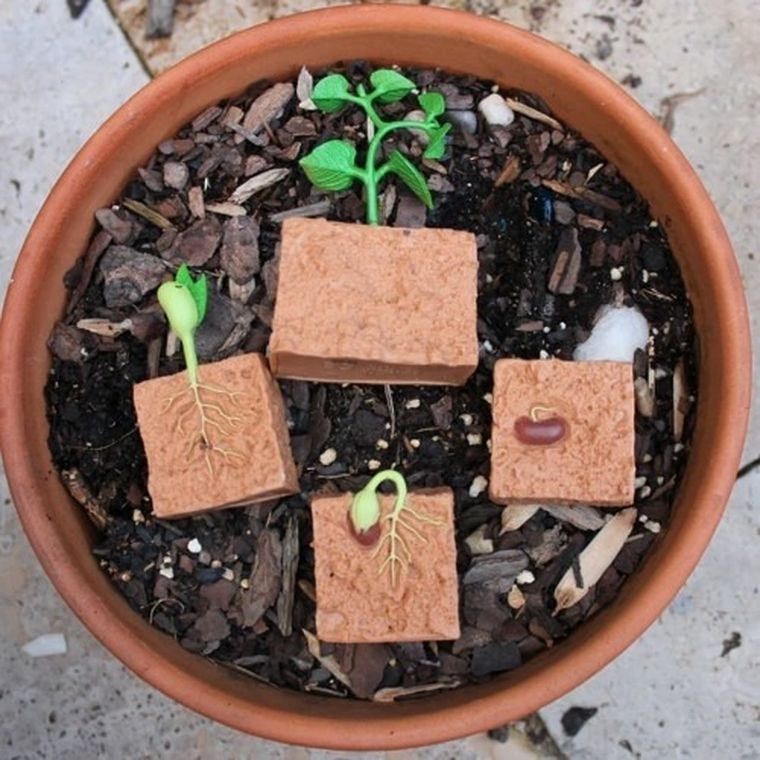 Safari Ltd, zestaw figurek, cykl rozwoju fasoli