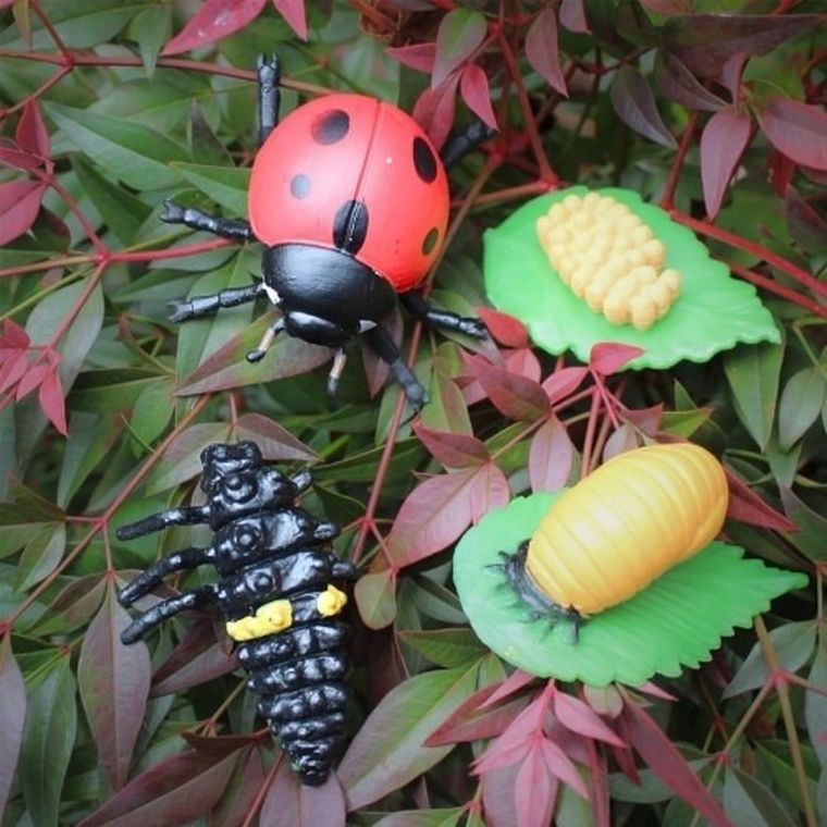 Safari Ltd, zestaw figurek, cykl życia biedronki