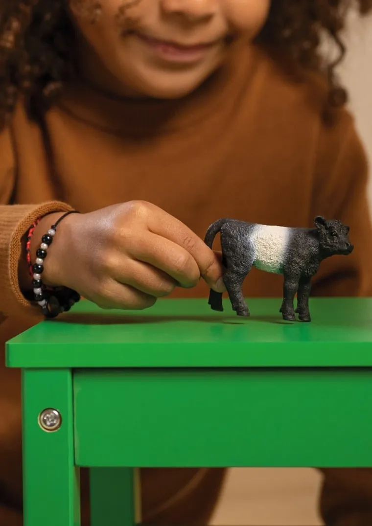 Schleich, Farm World, Cielę rasy Galloway, figurka, 13969