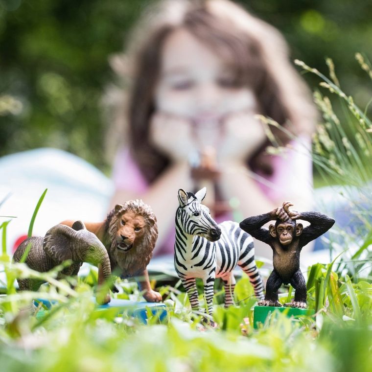 Schleich, Wild Life, Dzikie zwierzęta, zestaw startowy, figurka, 42387