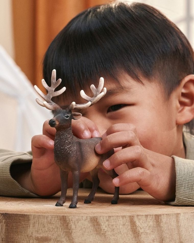 Schleich, Wild Life, Jeleń Amerykański, figurka, 14992