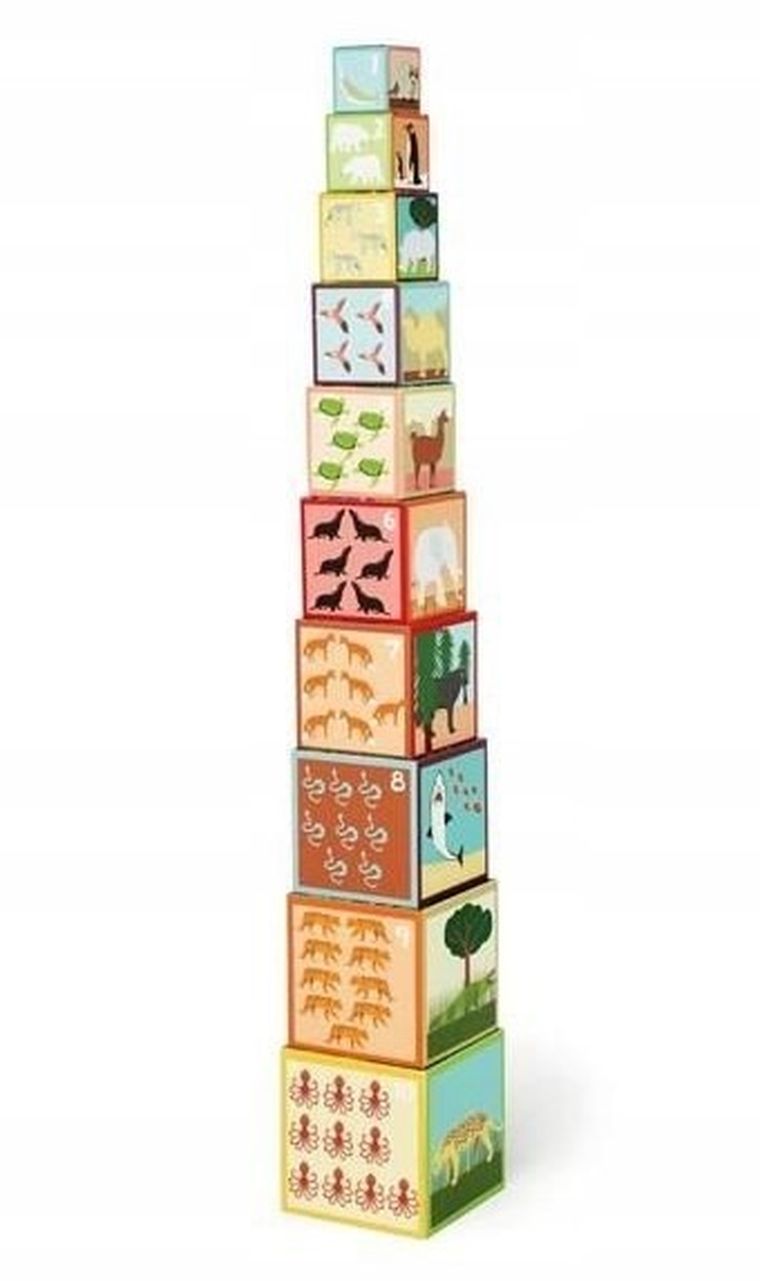 Scratch, piramidka edukacyjna, zwierzęta