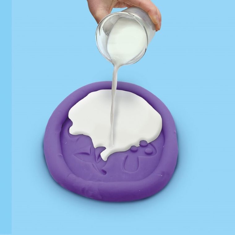 SES Creative, odlewy gipsowe i malowanie inspirowane naturą