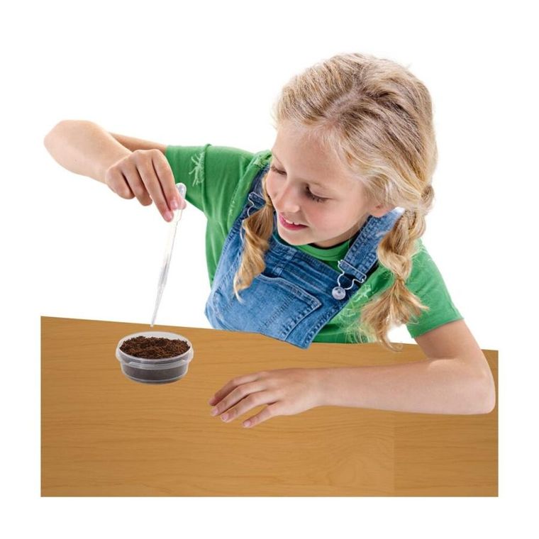 SES Creative, Ogródek na drzewie, zestaw kreatywny