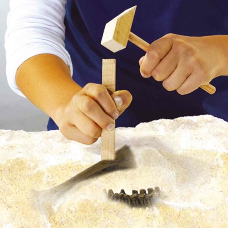 SES Creative, Skamielina dinozaury, Stegozaur, 2w1