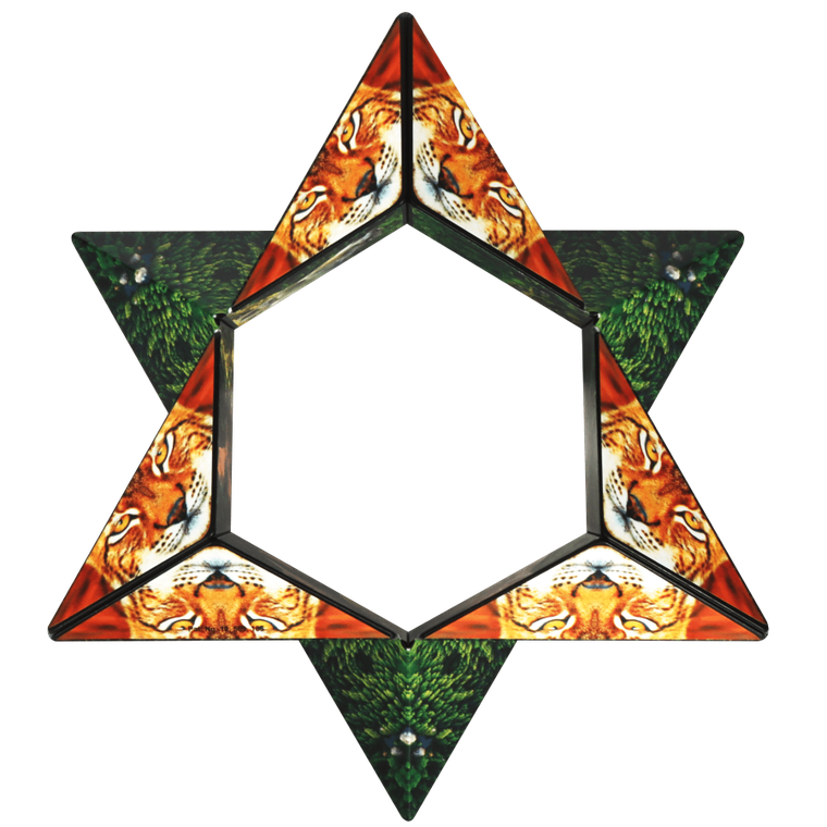 Shashibo, kostka magnetyczna, łamigłówka, Forest