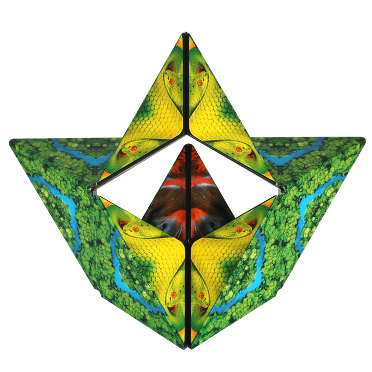 Shashibo, kostka magnetyczna, łamigłówka, Jungle