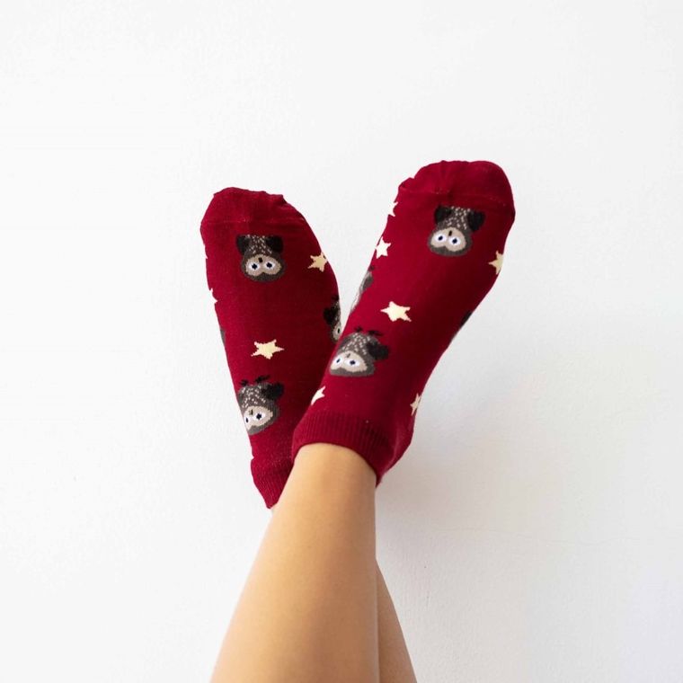 Skarpetki damskie, stopki, bordowe, Adrian