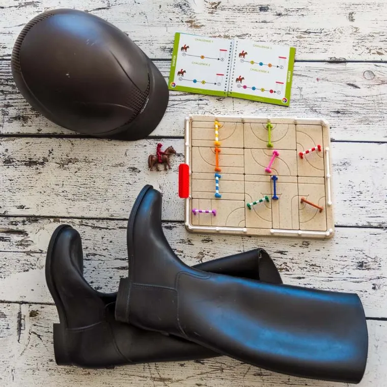 Smart Games, Akademia Jazdy Konnej, gra logiczna