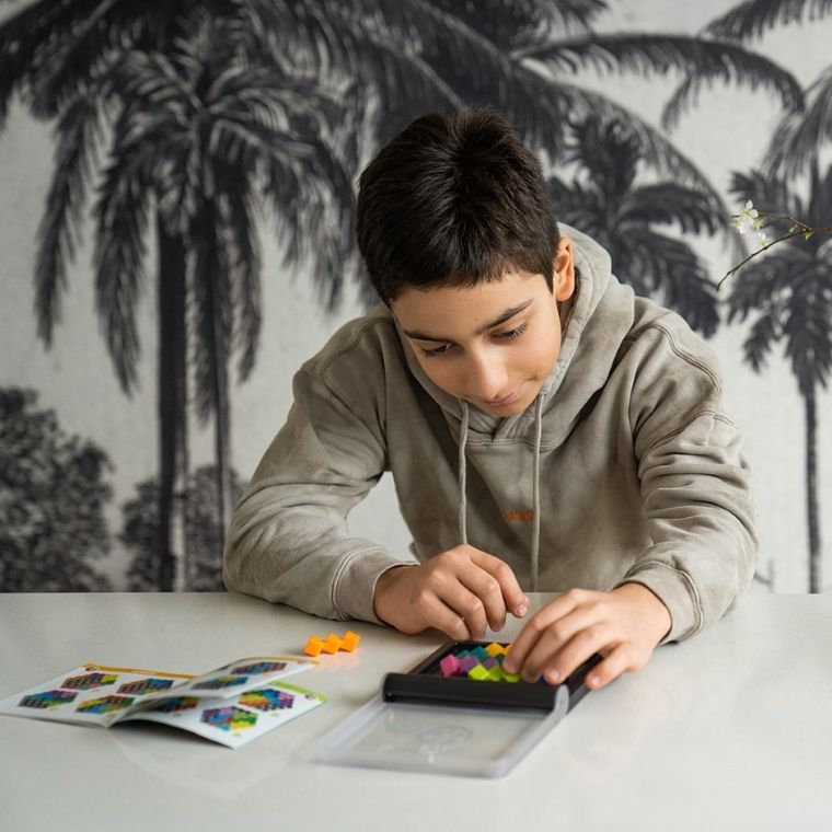 Smart Games, IQ Perplex, gra logiczna