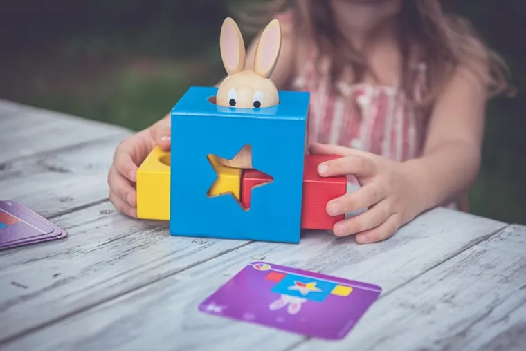 Smart Games, Króliczek, gra logiczna