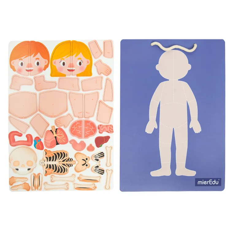 Smiki, Anatomia człowieka, magnetyczna układanka