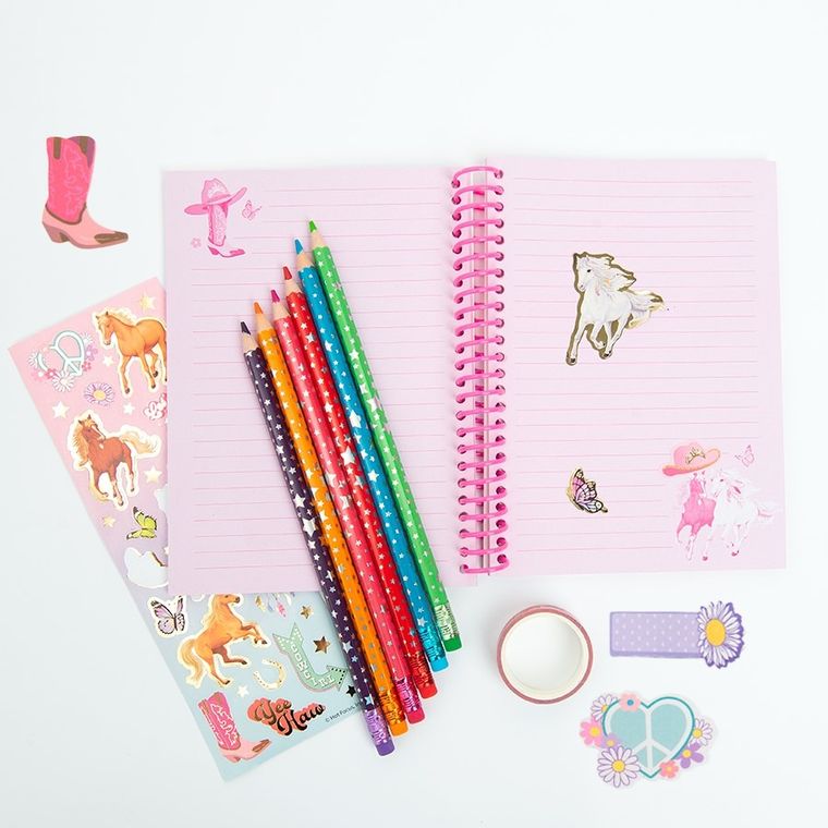 Smiki, Konie, pamiętnik z akcesoriami