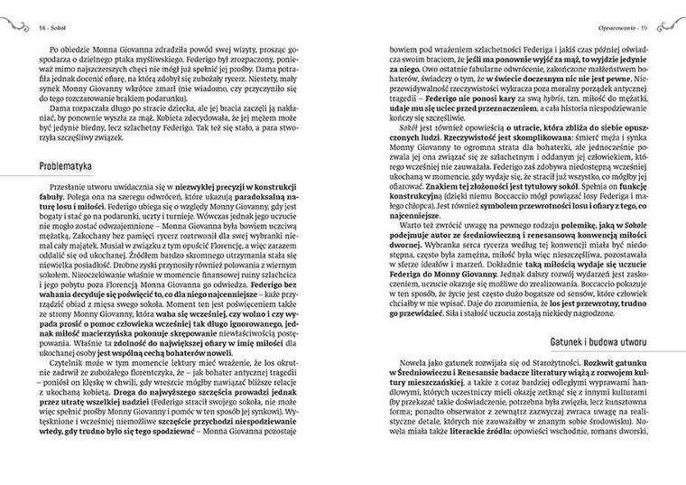 Sokół. Wydanie z opracowaniem i streszczeniem