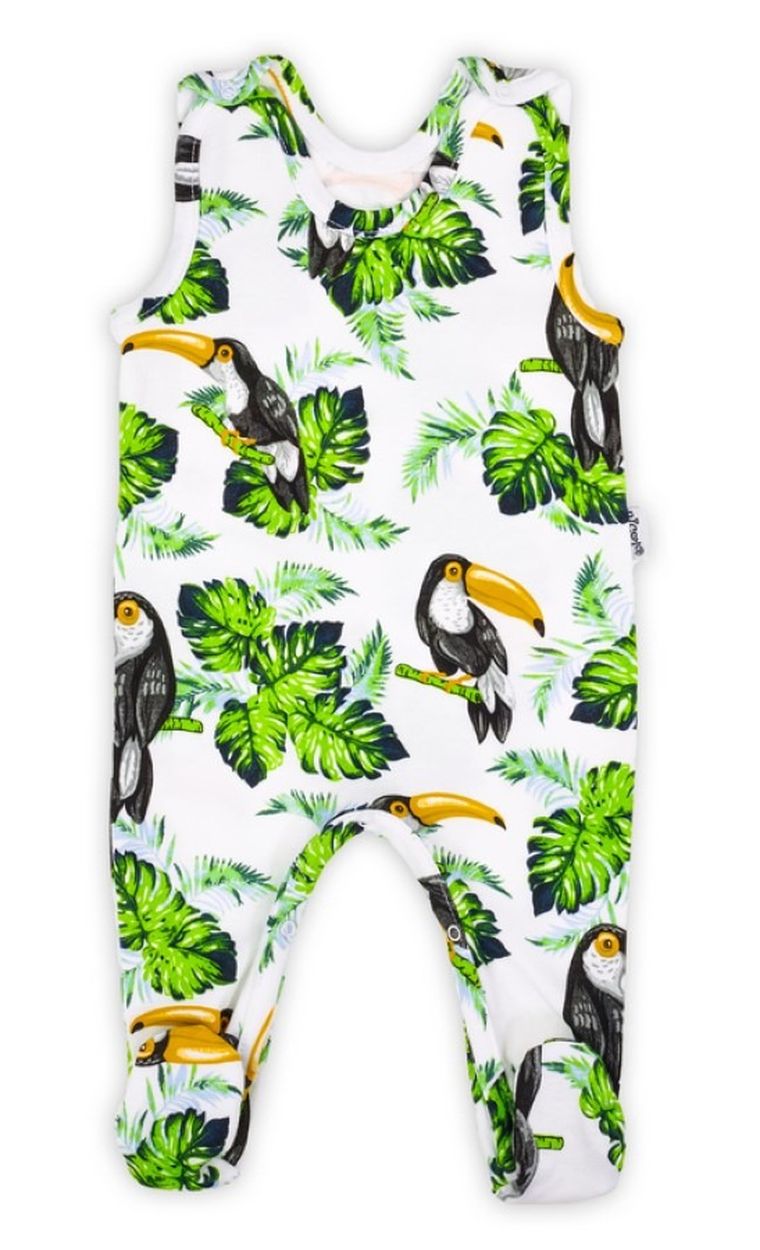 Śpiochy chłopięce, mix, Nicol