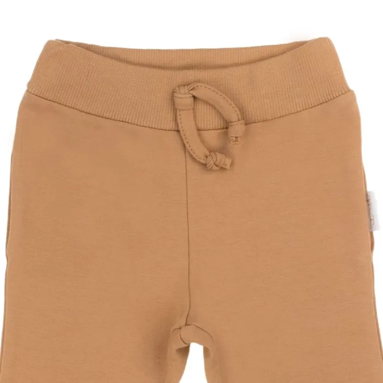 Spodnie dresowe chłopięce, brązowe, Nicol