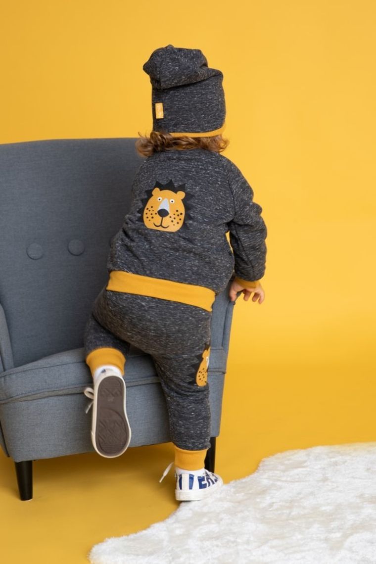 Spodnie dresowe chłopięce, grafitowe, lew, Nicol