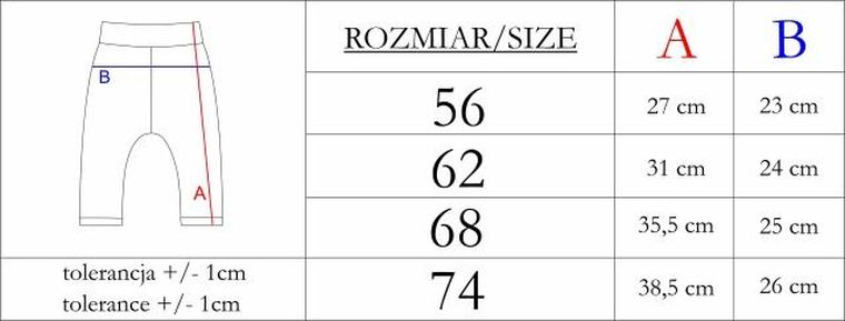 Spodnie dresowe chłopięce, grafitowe, Nicol