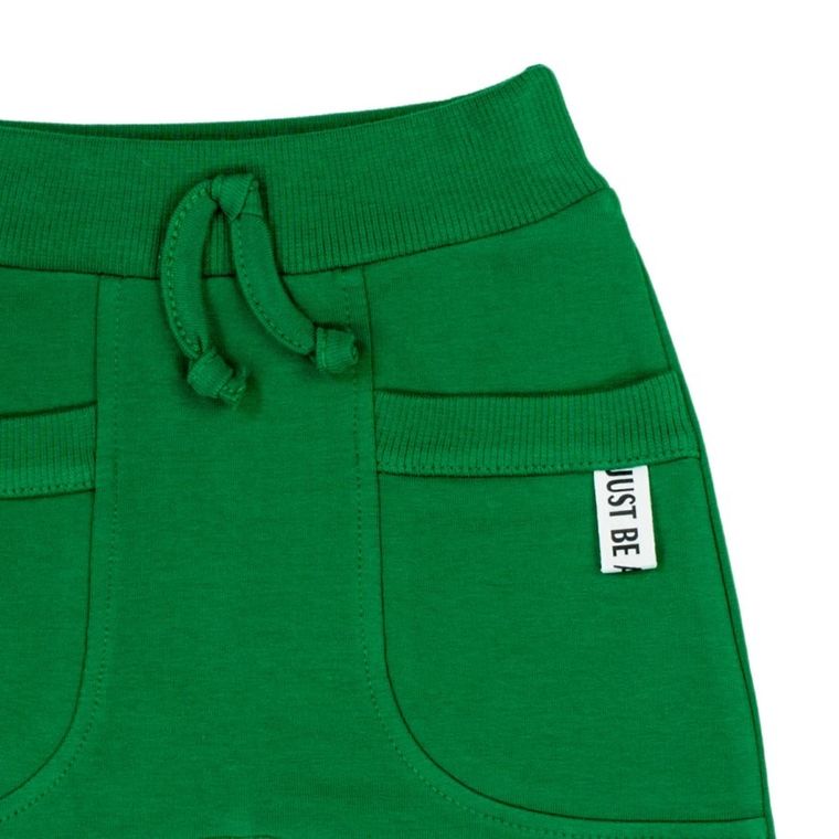 Spodnie dresowe chłopięce, zielone, Nicol