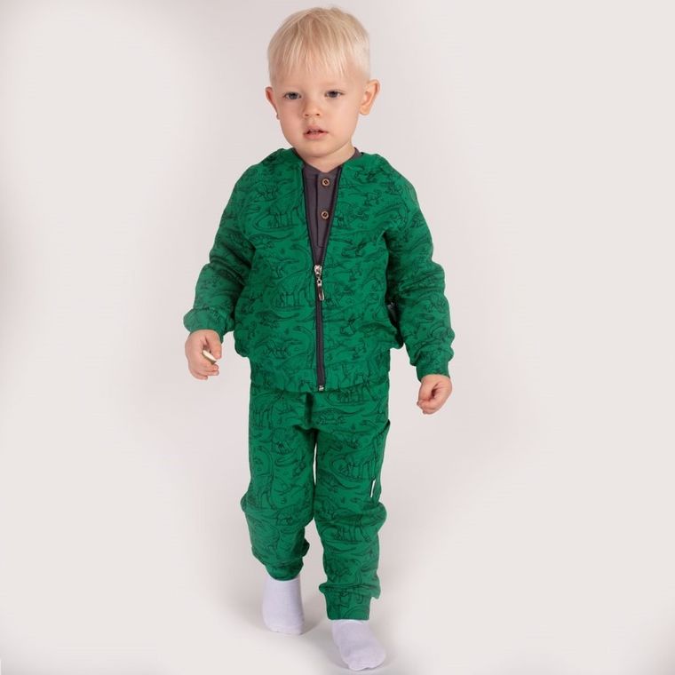 Spodnie dresowe chłopięce, zielone, Nicol