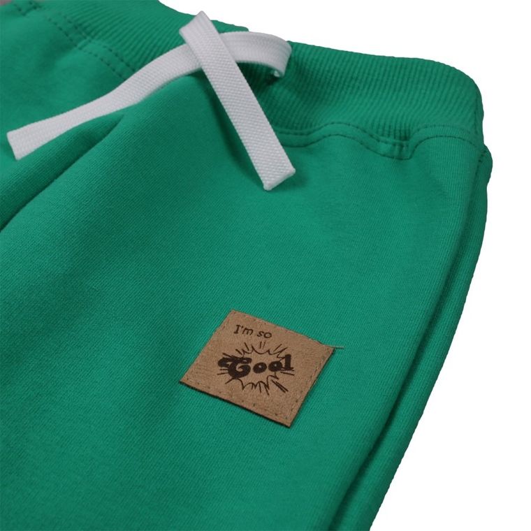 Spodnie dresowe chłopięce, zielone, Tup Tup
