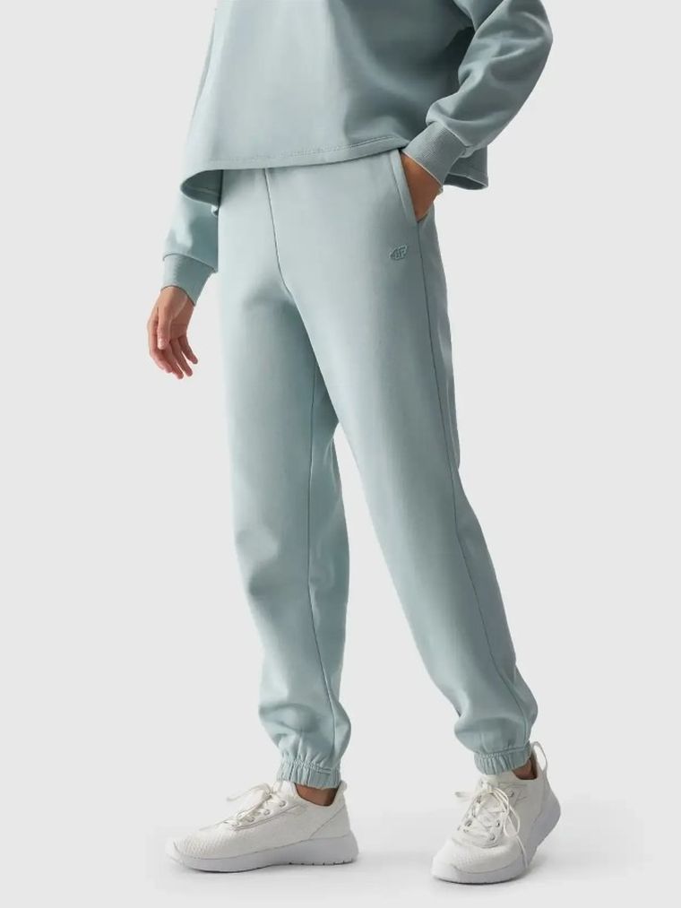 Spodnie dresowe damskie, szare, 4F