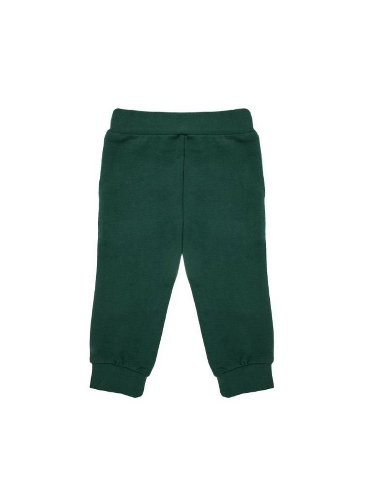 Spodnie dresowe dla chłopca, zielone, Nicol