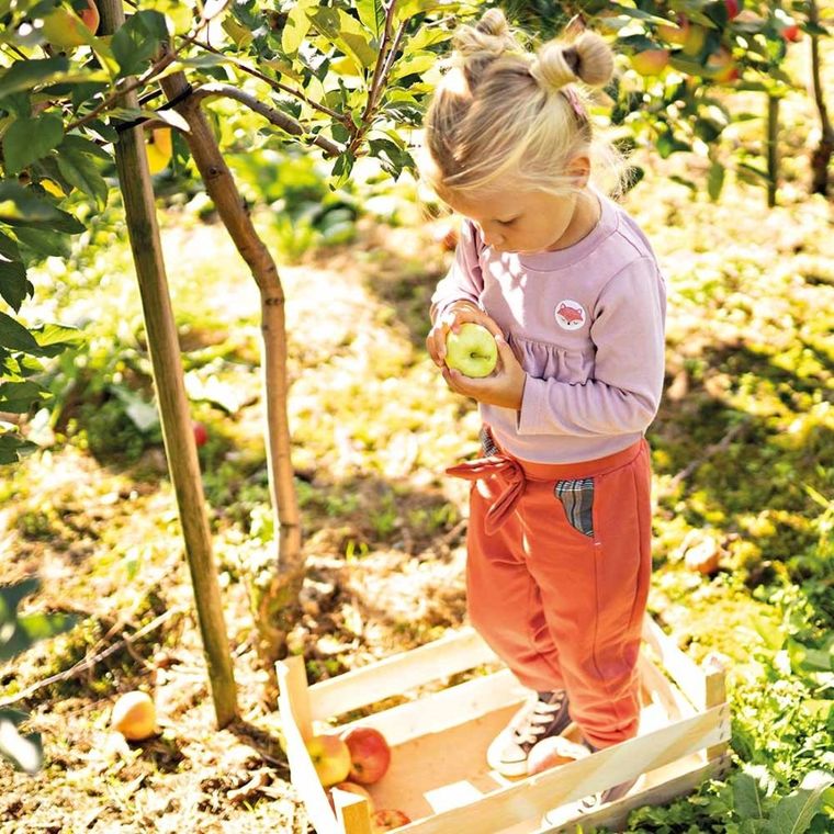 Spodnie dresowe dziewczęce, pomarańczowe, Eevi