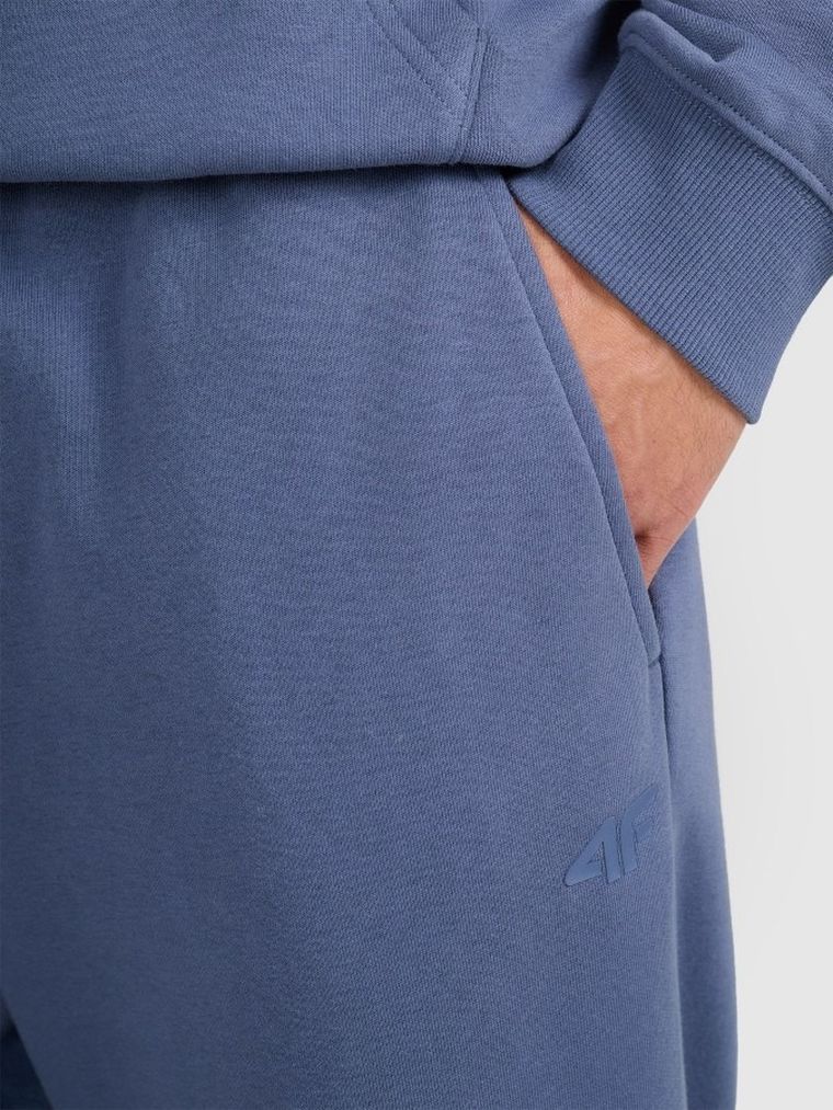 Spodnie dresowe męskie, niebieskie, 4F