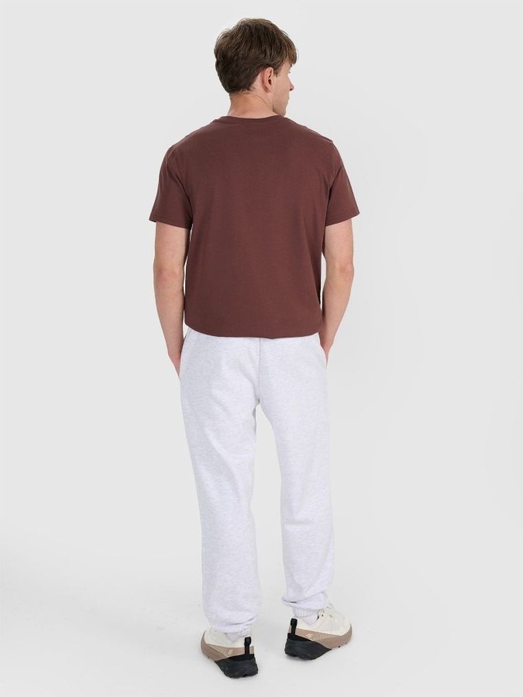 Spodnie dresowe męskie, szare, 4F