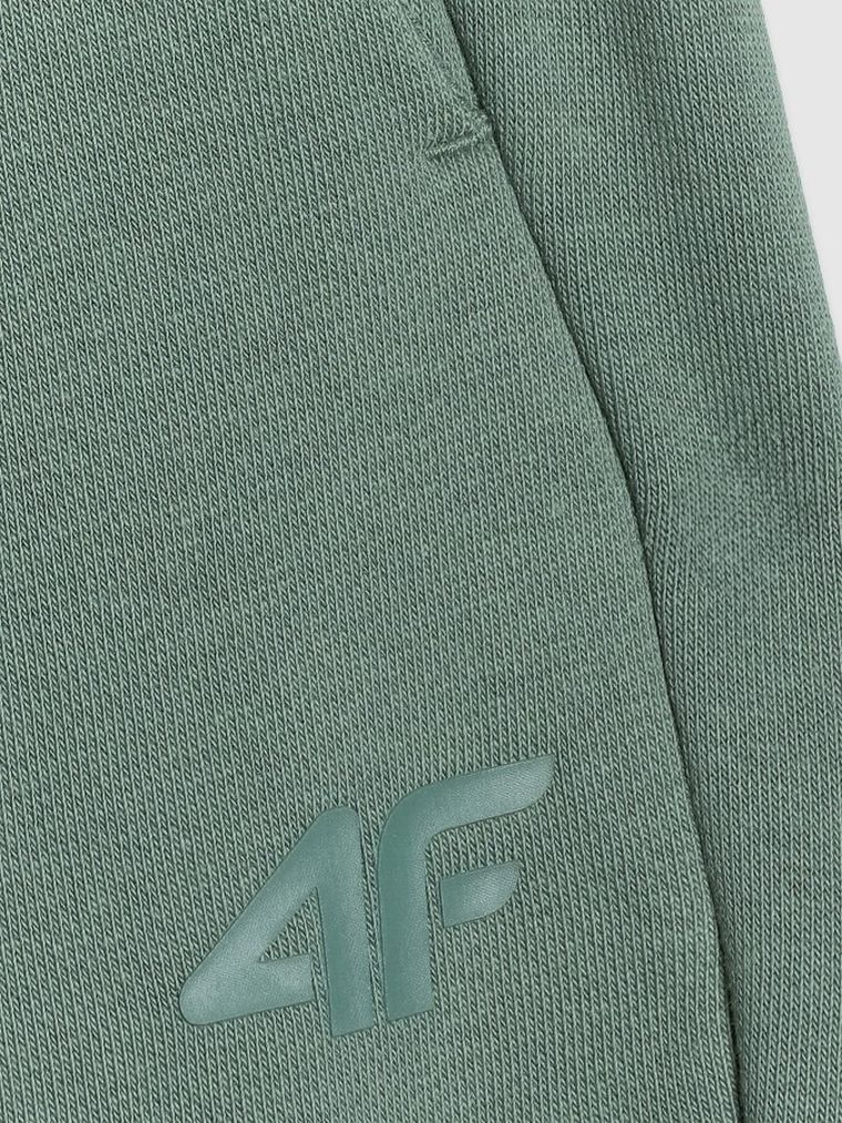 Spodnie dresowe męskie, zielone, 4F