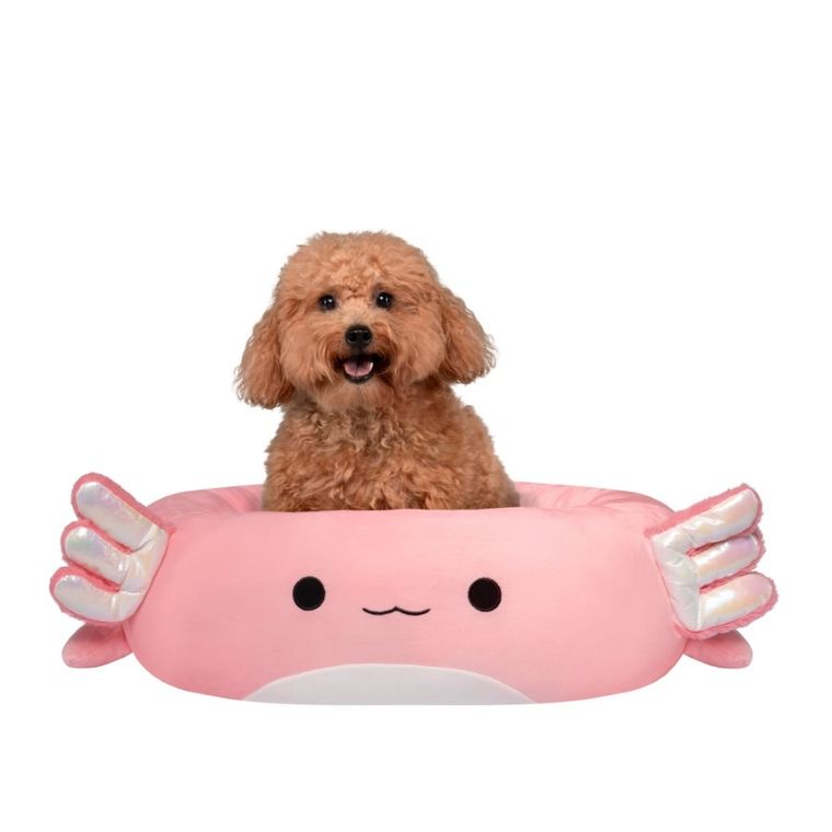 Squishmallows, legowisko dla psa, rozmiar M, 60 cm, Archie The Axolotl