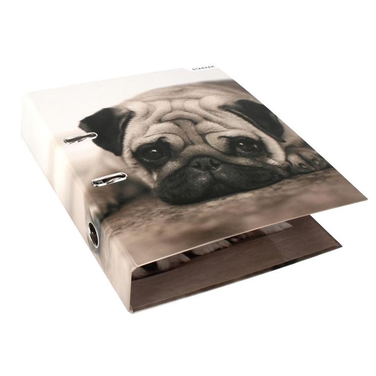 Starpak, segregator A4, psy