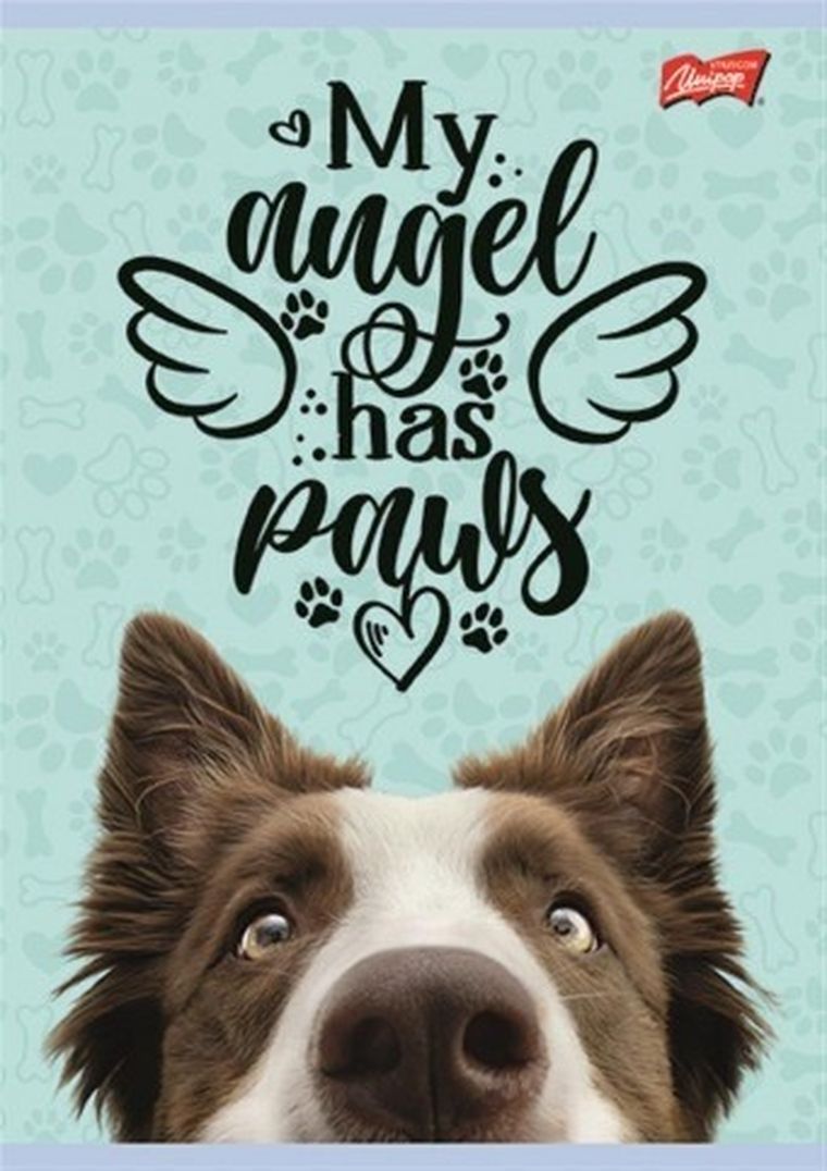 St.Majewski, zeszyt do słówek A6, 16 kartek, 1 szt.