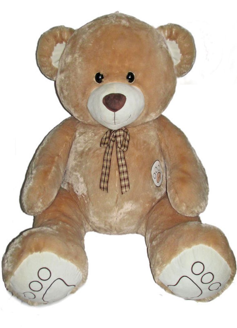 Sun-Day, Miś, maskotka, 140 cm