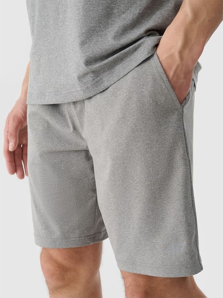 Szorty męskie, szare, 4F