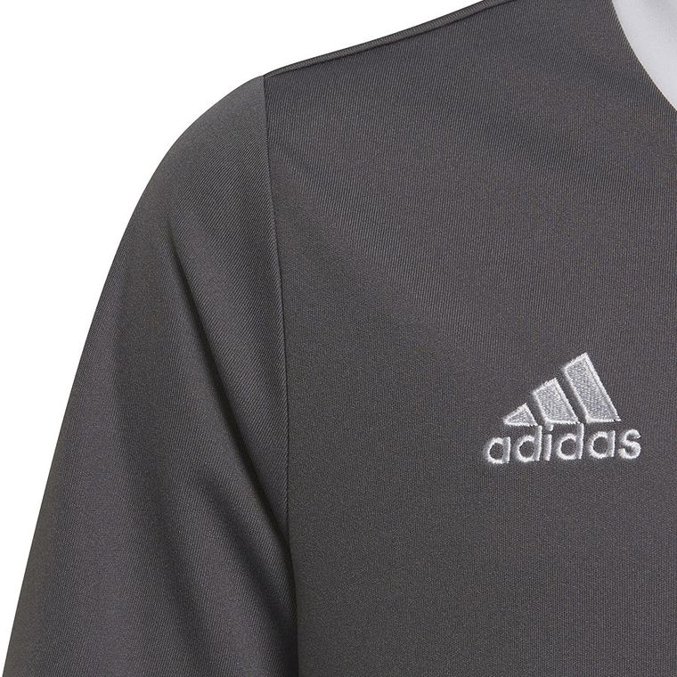 T-shirt chłopięcy, ciemnoszary, Adidas Entrada 22