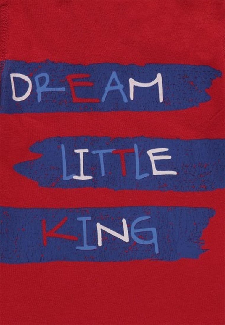 T-shirt chłopięcy, czerwony, Kanz