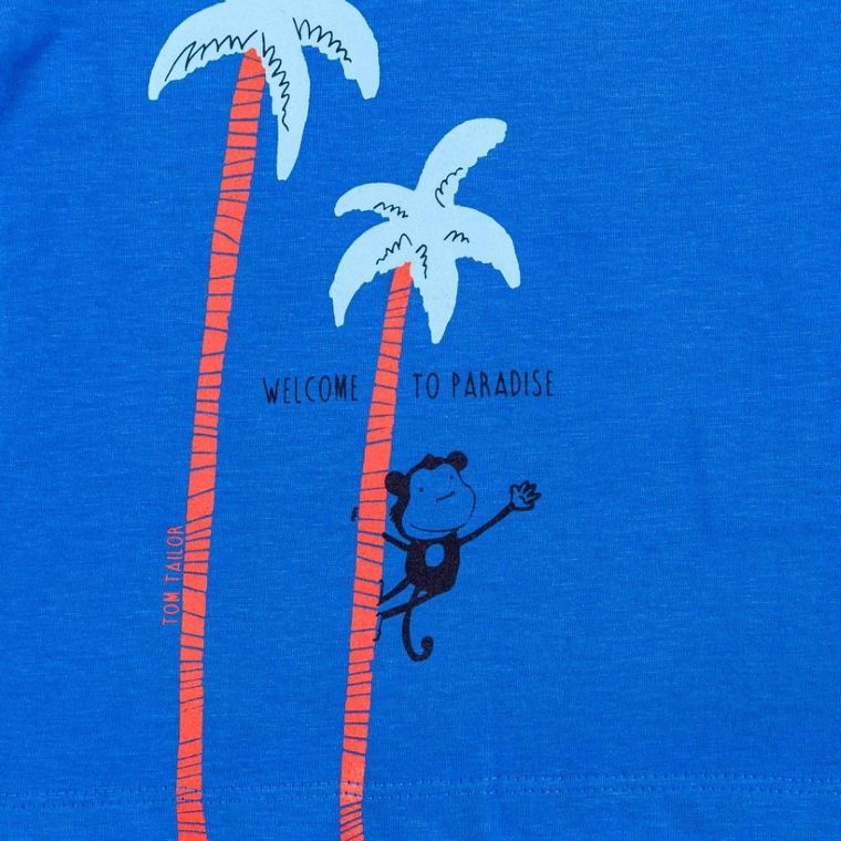 T-shirt chłopięcy, granatowy, Tom Tailor