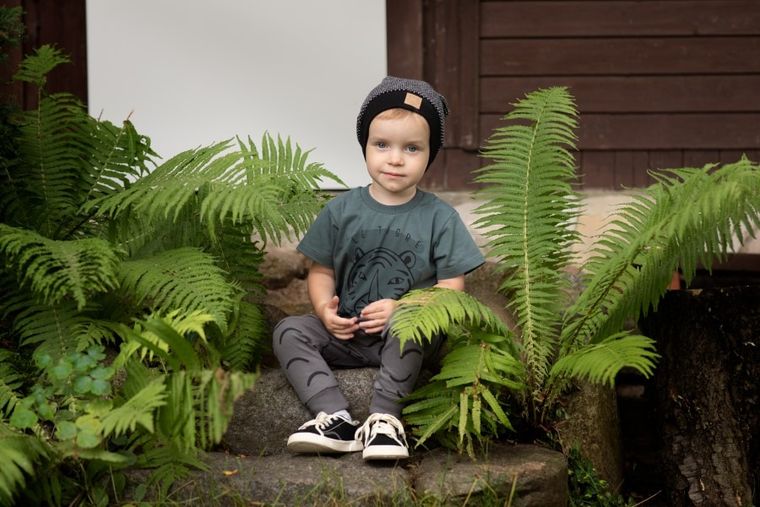 T-shirt chłopięcy, khaki, Pinokio