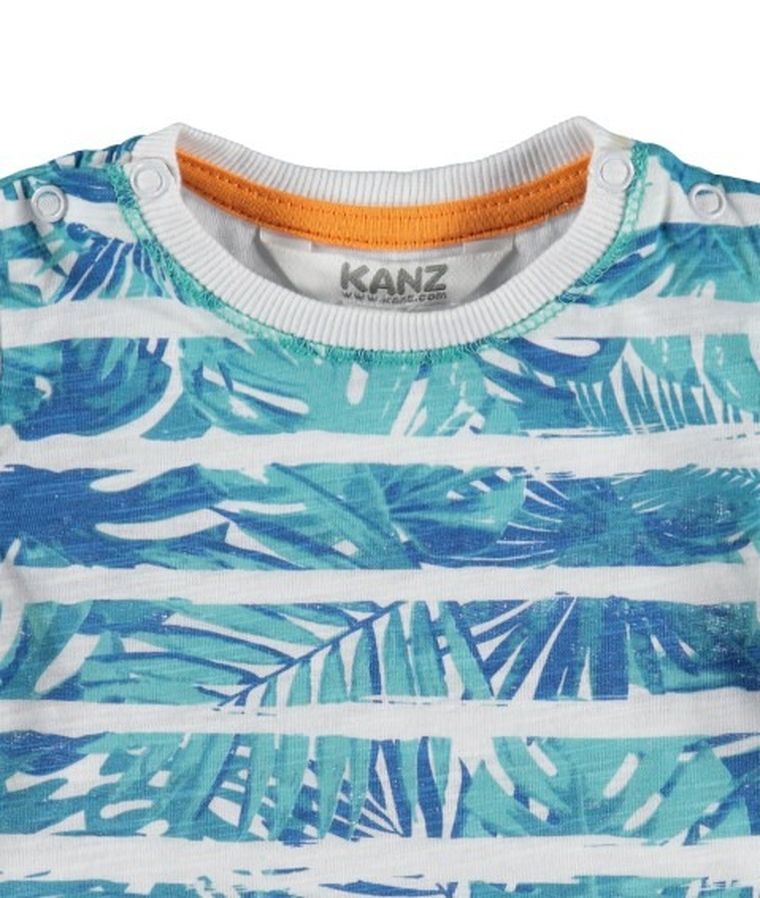 T-shirt chłopięcy, mix, Kanz