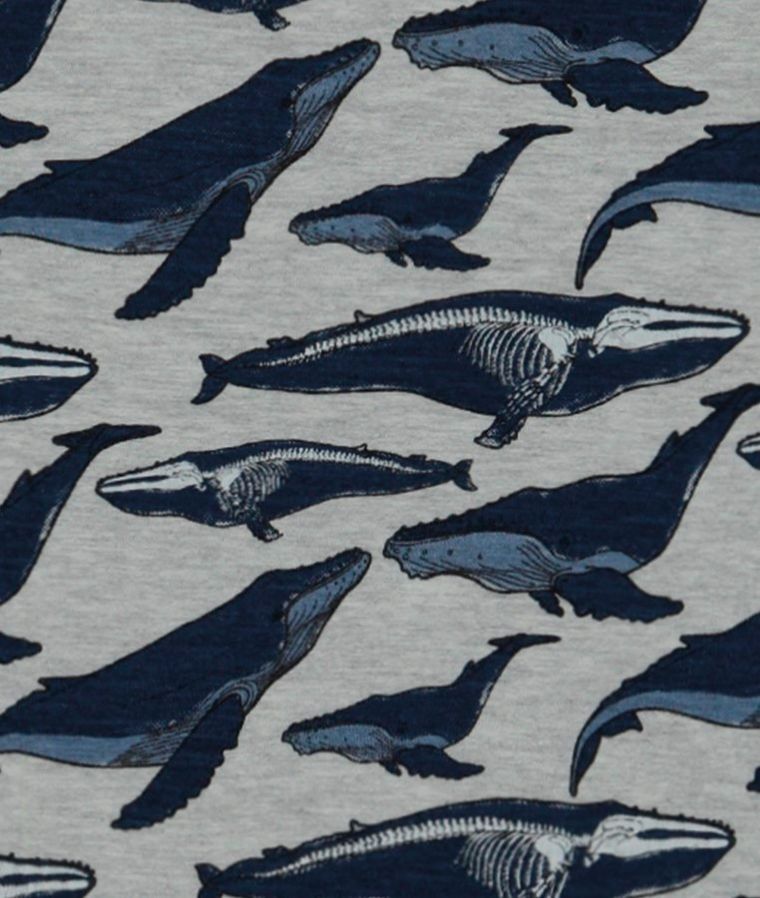 T-shirt chłopięcy, mix, Tom Tailor