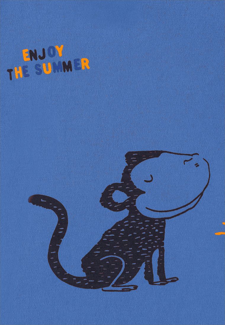 T-shirt chłopięcy, niebieski, Tom Tailor