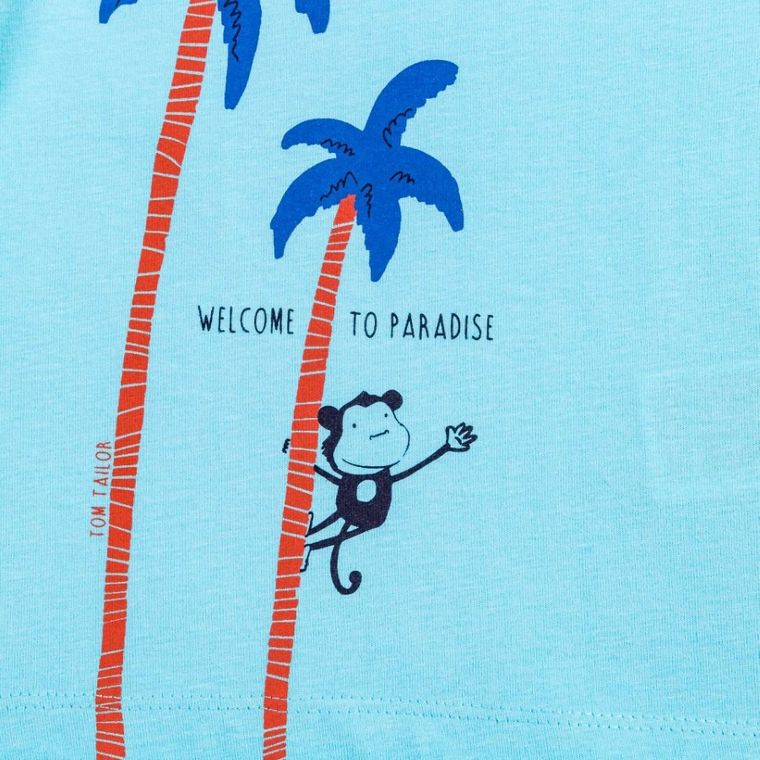 T-shirt chłopięcy, niebieski, Tom Tailor