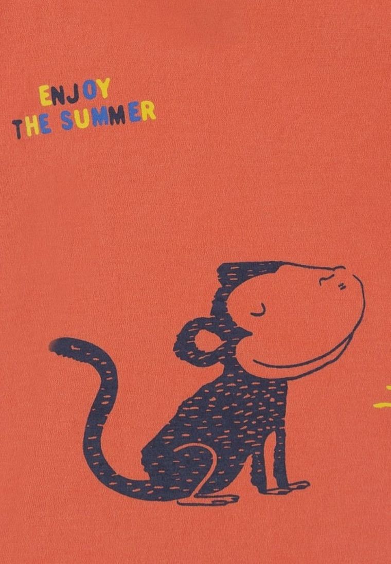 T-shirt chłopięcy, pomarańczowy, Tom Tailor