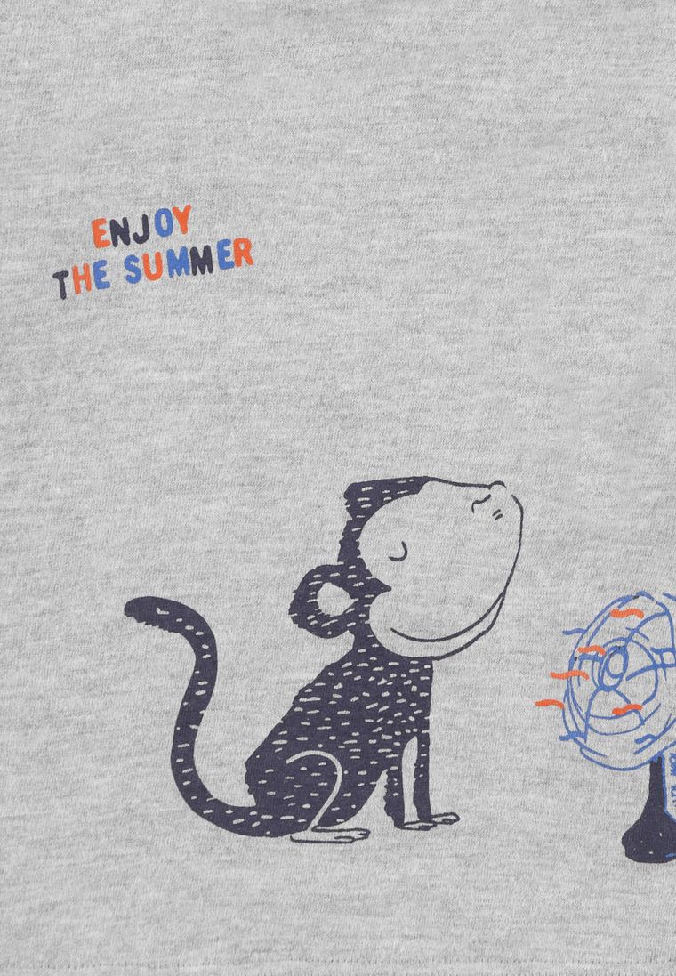 T-shirt chłopięcy, szary, Tom Tailor