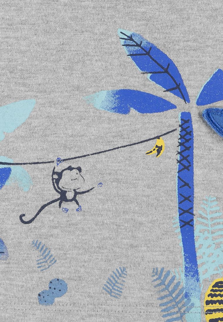 T-shirt chłopięcy, szary, Tom Tailor