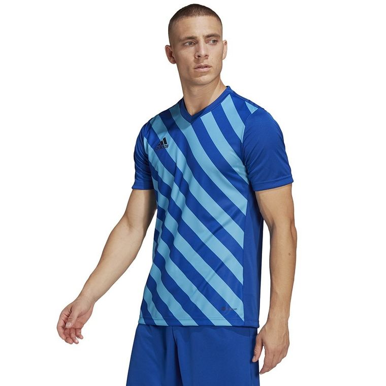 T-shirt męski, niebieski, Adidas Entrada 22 GFX JSY