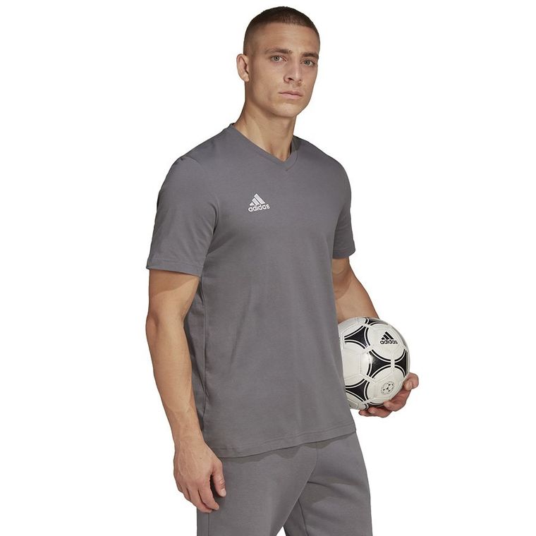 T-shirt męski, szary, Adidas Entrada 22 Tee